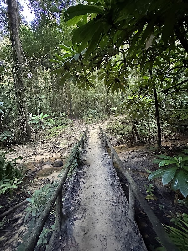 Dragon's Crest (Ngon Nak Nature Trail) 5