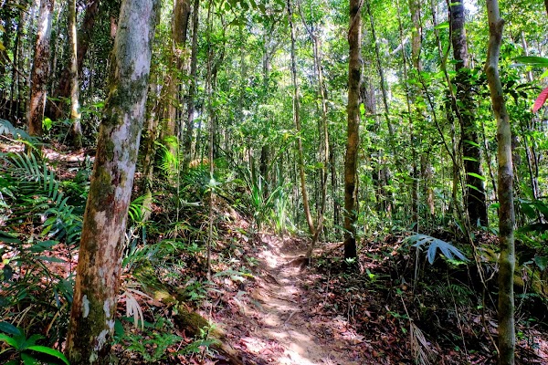 Dragon's Crest (Ngon Nak Nature Trail) 3
