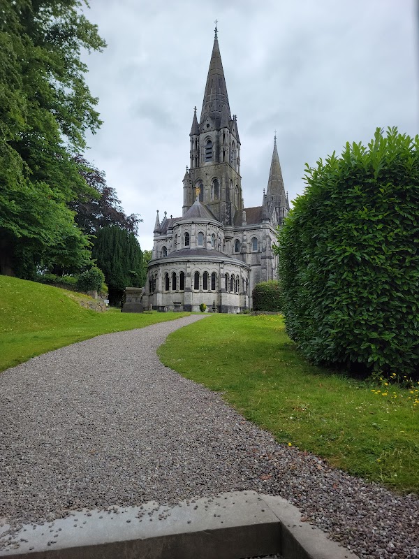 Saint Fin Barre's Cathedral 6