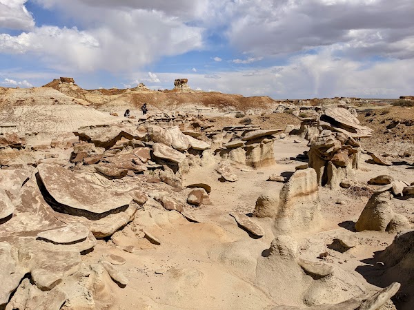 Bisti/De-Na-Zin Wilderness 5