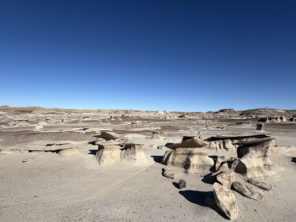 Bisti/De-Na-Zin Wilderness 4