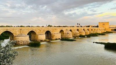 Roman Bridge of Córdoba 1