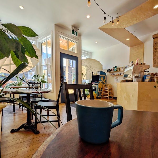 Dizzy Bird Coffee 3