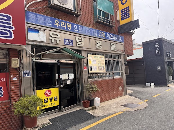 Yudal Kongmul Bean Noodle 1