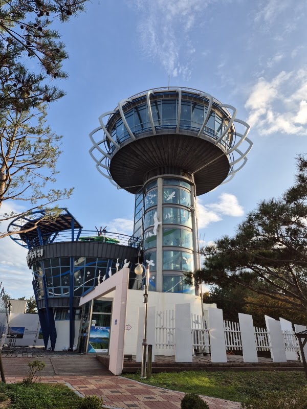 송지호관망타워