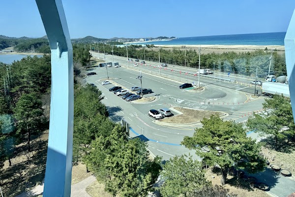 송지호관망타워 2