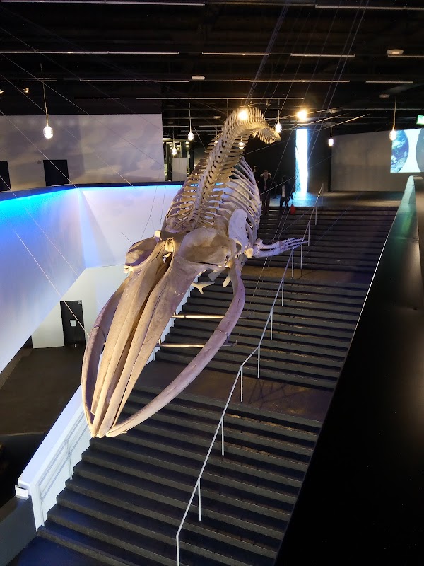 Museum of Natural Sciences of Barcelona 5
