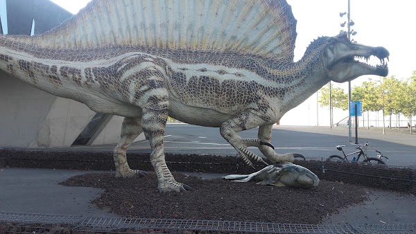 Museum of Natural Sciences of Barcelona 4