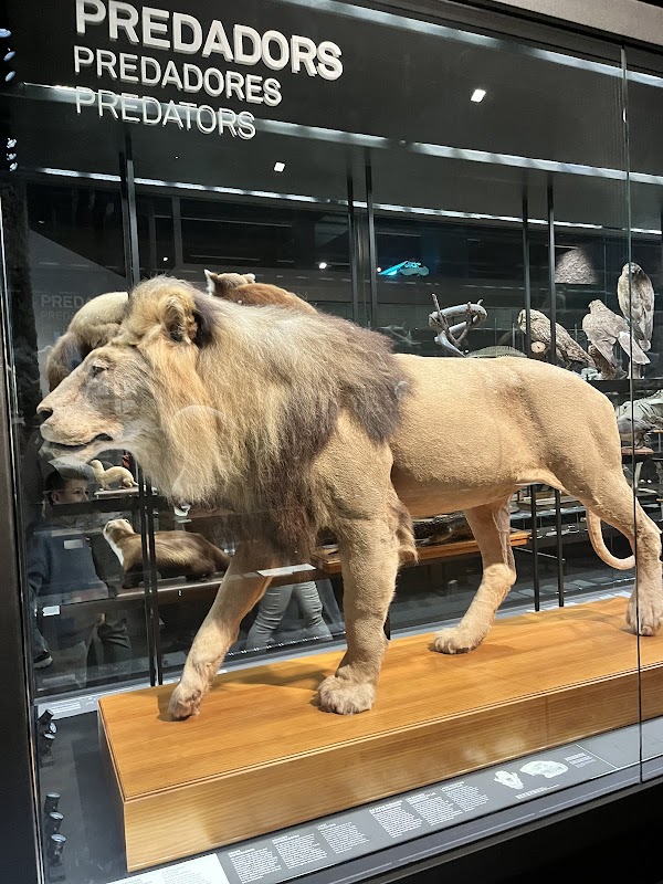 Museum of Natural Sciences of Barcelona 2