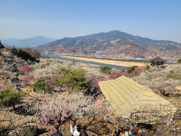 Gwangyang Maehwa Village 5