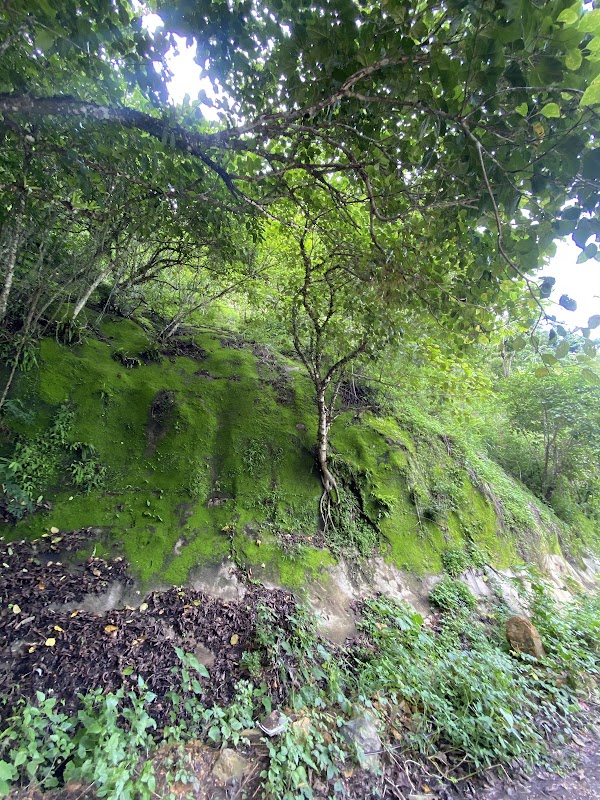 Mae Yai Waterfall 3