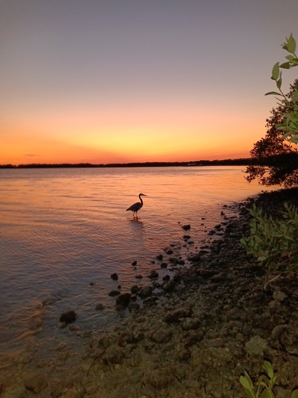 Honeymoon Island 4