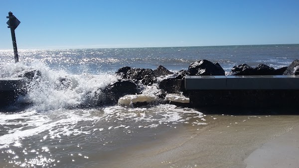 Honeymoon Island 3