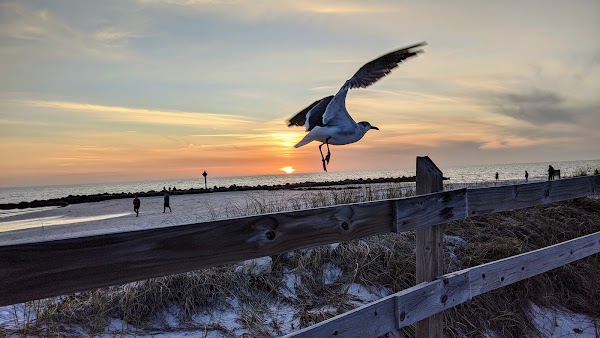 Honeymoon Island 2