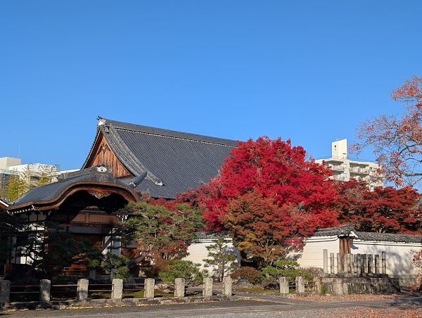 Myōkaku-ji Temple 4