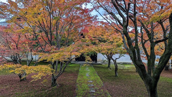 Myōkaku-ji Temple 3