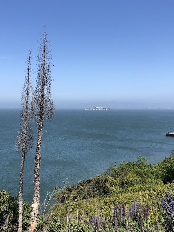 Golden Gate Postcard Viewpoint 2