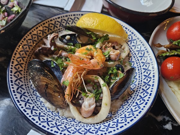 Mussels Place X Irinola 3