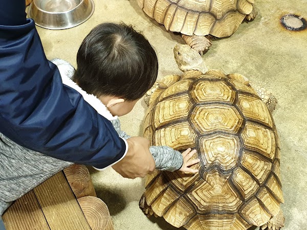 주렁주렁 경주점 1