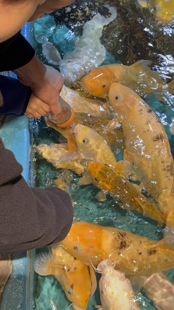 주렁주렁 경주점 3