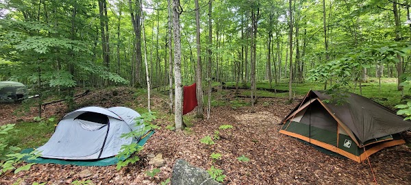 Fallows Campground