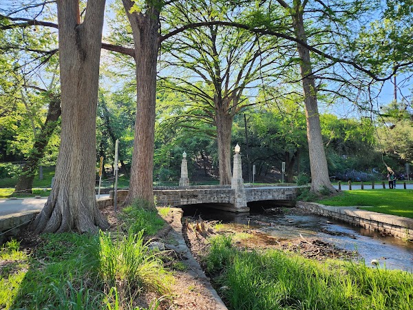 Comal Springs 1