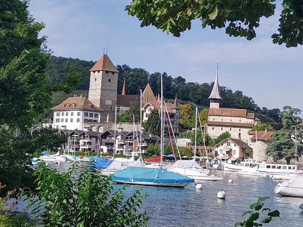 Spiez 5