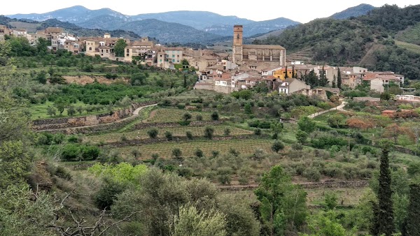 Priorat 5