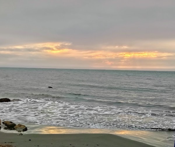Marbella 3