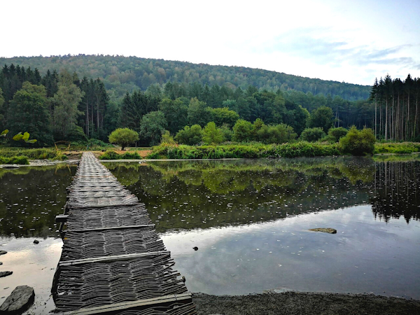 Pont de claies