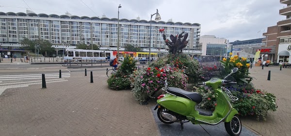 Scheveningen 5