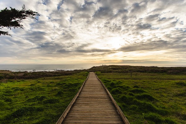 Cambria, California