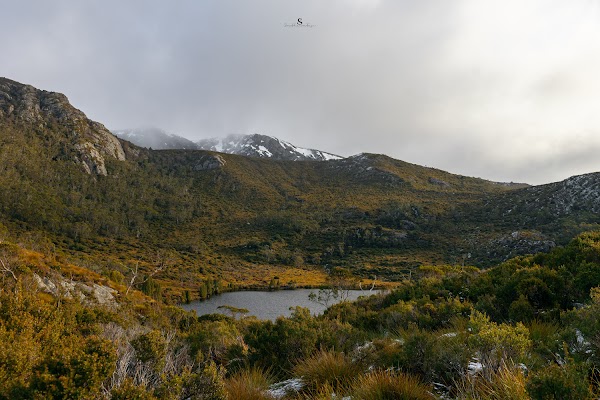 Cradle Mountain 4