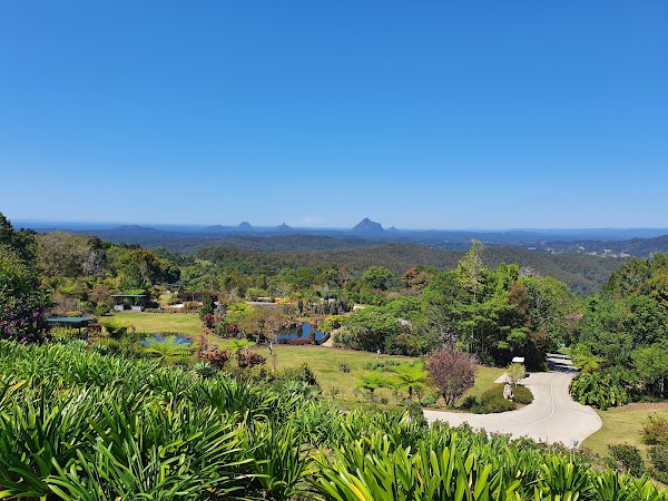 Maleny Botanic Gardens & Bird World 5