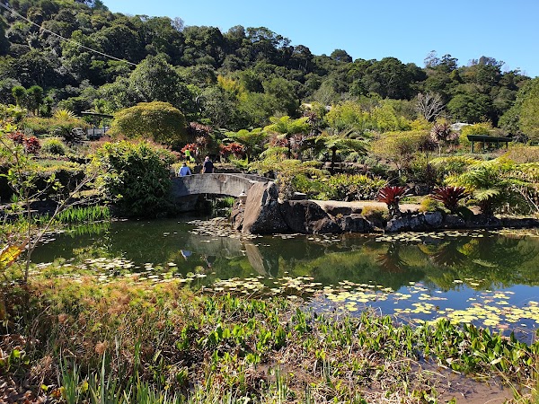Maleny Botanic Gardens & Bird World 4