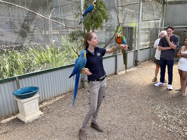 Maleny Botanic Gardens & Bird World 3