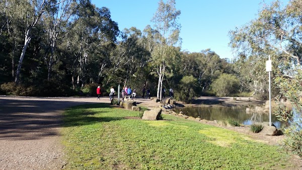 Newport Lakes Reserve 5