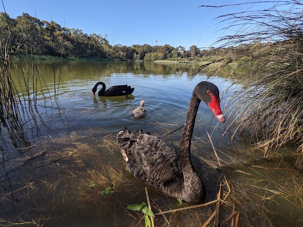 Newport Lakes Reserve 2