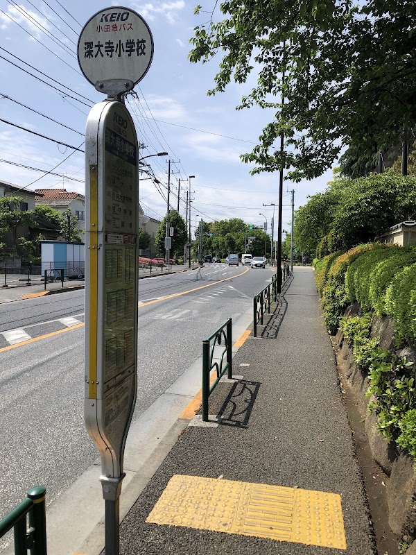 Jindaiji shogakko（Jindaiji Elem. Sch.） 1
