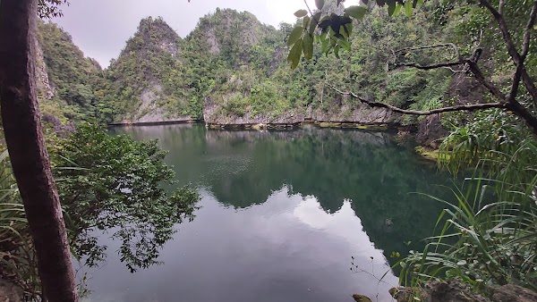 Lenmakana Stingless Jellyfish Lake 4