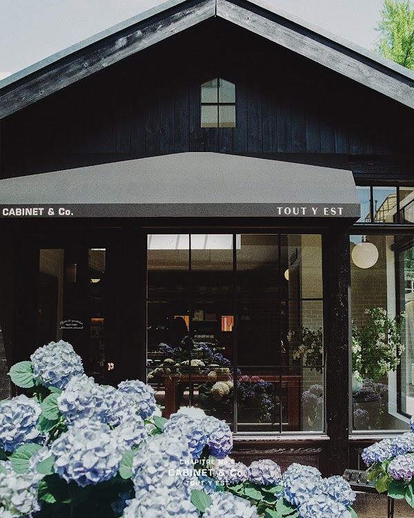 CABINET & Co. by TOUT Y EST 4