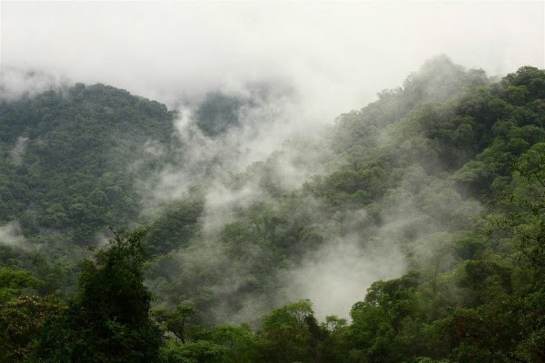Parque Nacional Calilegua