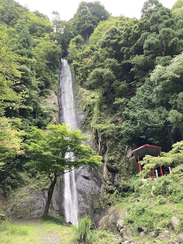 Hayakawa