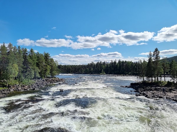 Mårdseleforsens naturreservat
