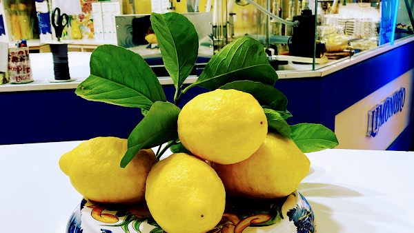 Limonoro Fabbrica Liquori 5