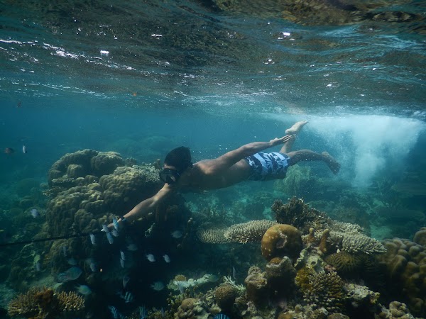 Karimun Jawa
