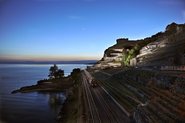 Lavaux Vinorama