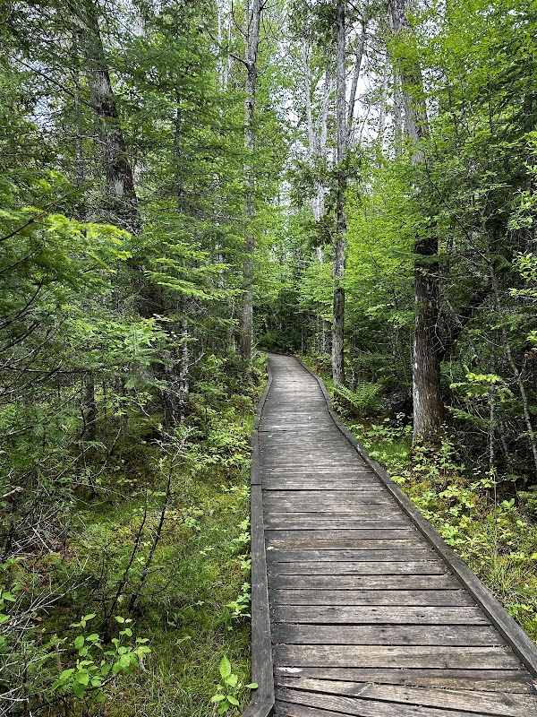 Silver Lake Bog Preserve