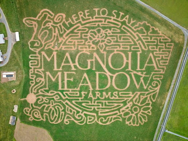 Magnolia Meadow Farms 1