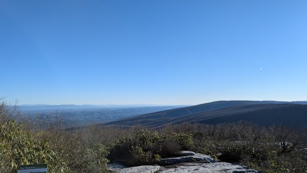 Channels State Forest 4